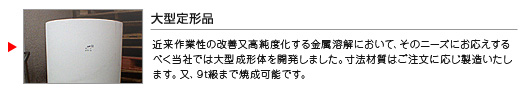 大型定形品